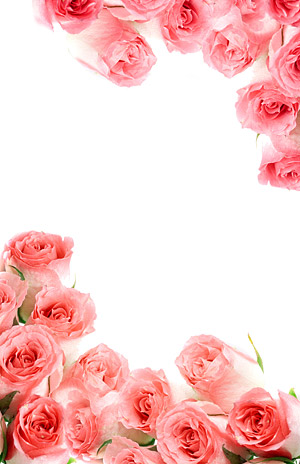 गुलाबी गुलाब चित्र सामग्री का एक गुलदस्ता