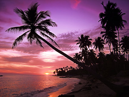 Sonnenuntergang am Meer Kokos Videobild material