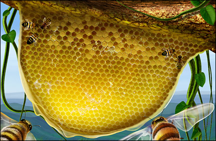 Planta de rattan celular, abelhas,