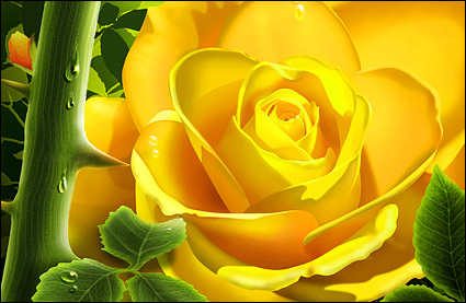 الورد الأصفر مع المياه