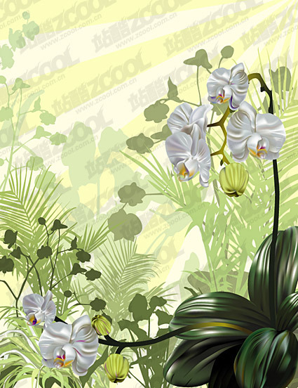 Material de ilustración vectorial orquídeas