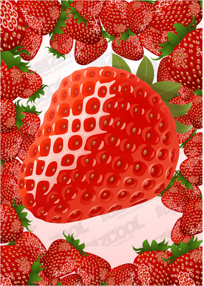 Erdbeere Vektor-material