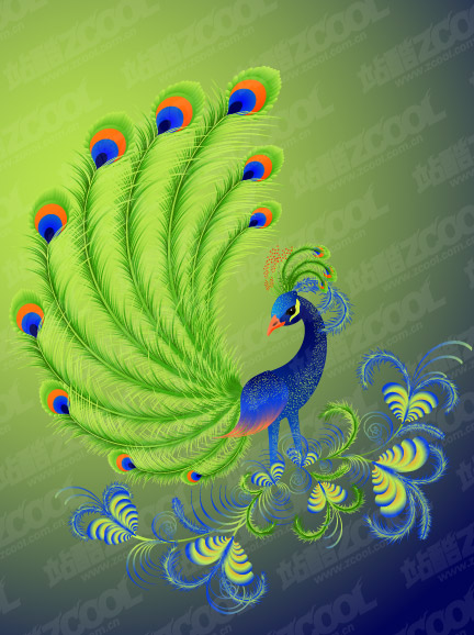 Peacock-Vektor-material