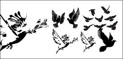 colombes en noir et blanc ou du matériel de vecteur de silhouette
