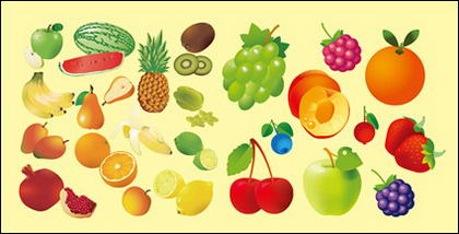 Variété de matériel de vecteur de fruits