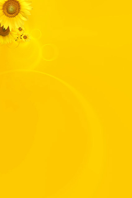 Sunflower gambar latar belakang bahan-9
