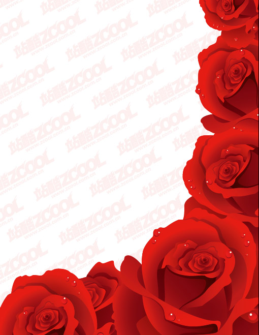 Les roses rouges exquis vecteur matériel