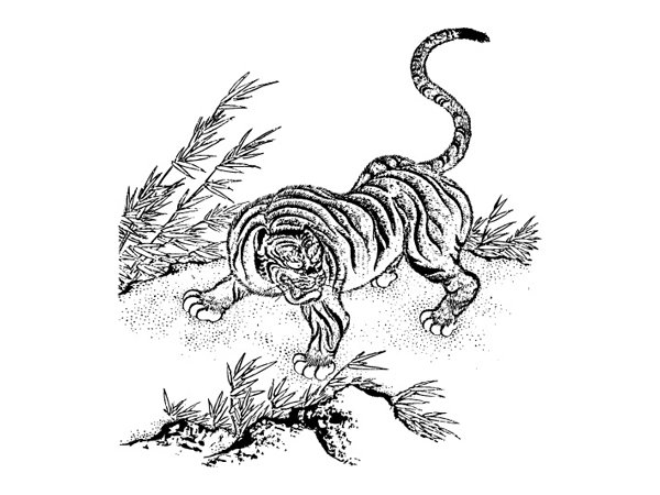 Тигр классический векторного материала