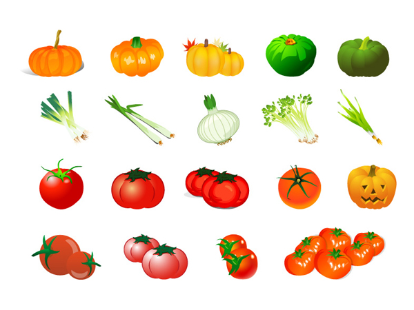 Vector vegetal - tomate calabaza ajo cebolla