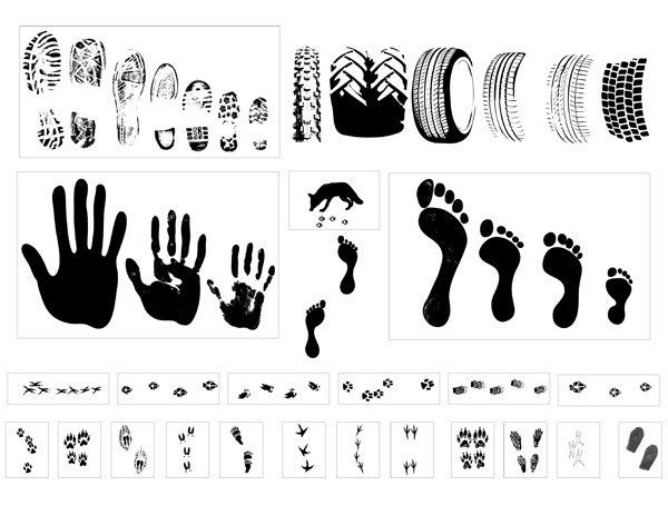 Vector material traces of a variety of tire footprint