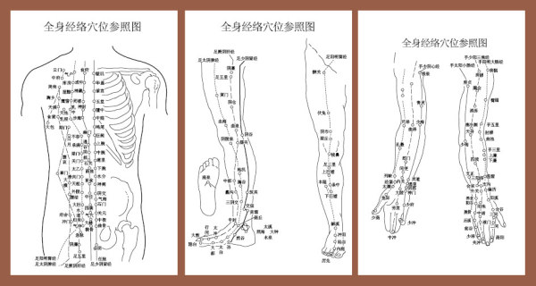 Puntos de cuerpo meridianos a figura de acupuntura