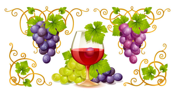 Вектор винограда и вина		 