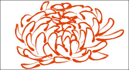 Vector de patrón de Crisantemo