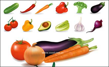 Varias verduras comunes de vectores de material