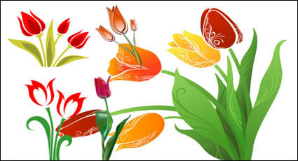 Material de vector de tulipanes