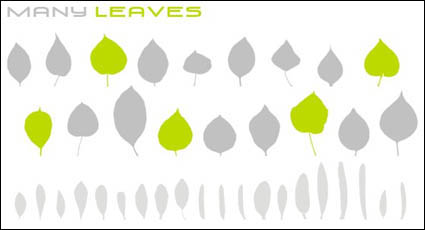 Variété des feuilles vecteur