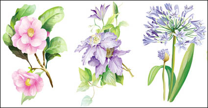 7 elegante Aquarell Blumen-Vektor-material