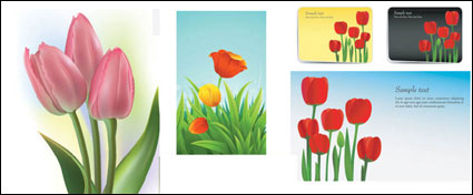Vector de tulipanes de material