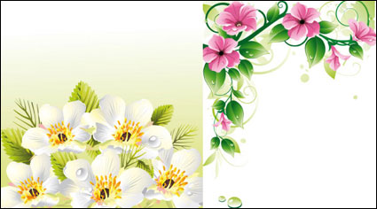 Vektor Blume Grenzen u0026amp; Hintergrund		