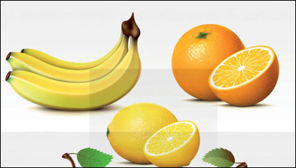 Frutas frescas vector		