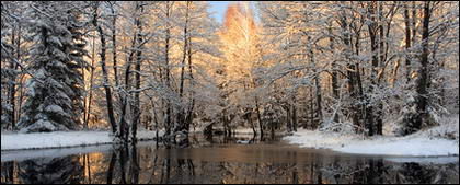 Таяние снегов в материале картина лес