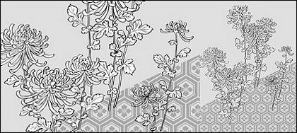 Dessin vectoriel de fleurs-39(Chrysanthemum, background)