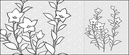 Dessin vectoriel de flowers-28(Campanulaceae)