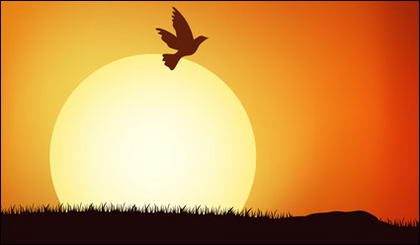 populações de aves sob o material de vetor do sol