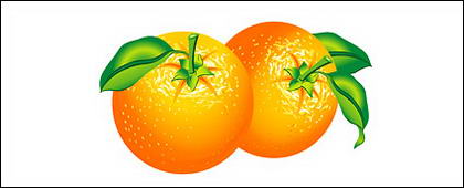 สีส้มเวกเตอร์