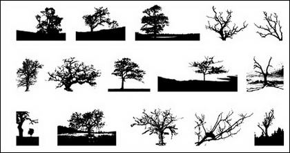 Allez Media produit vectoriel matériel - arbres en images