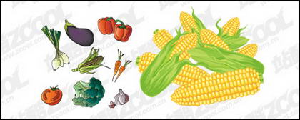 Vecteur matériels communs fruits et légumes