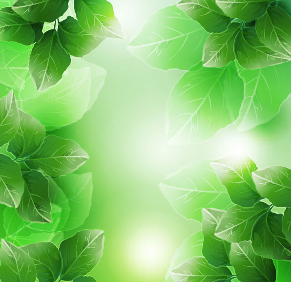 Hermoso material de vectores de hojas verdes 