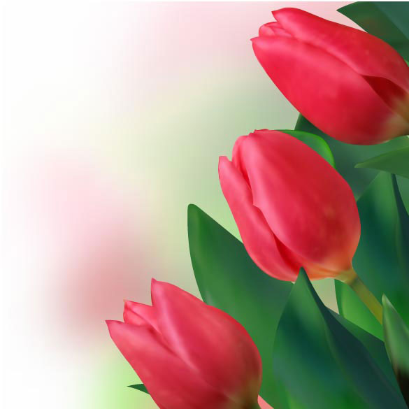 Brillantes tulipanes 02 - vector 