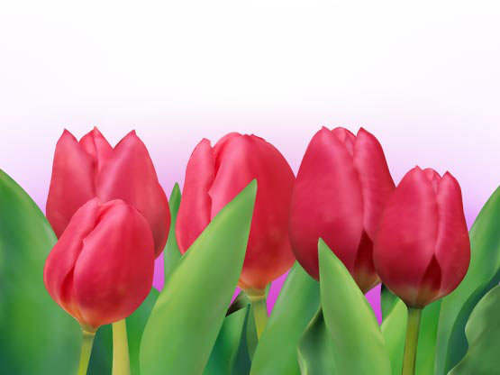 Brillantes tulipanes 01 - vector  