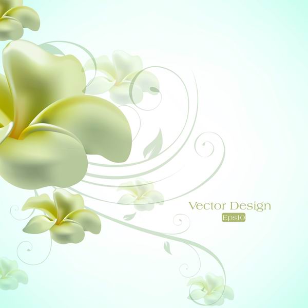 Material de vector de fons de disseny de elegant lily de text 