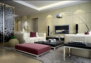 Small modern minimalist living room