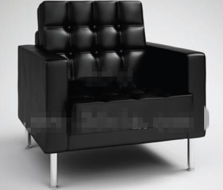 Modern style pure black sofa