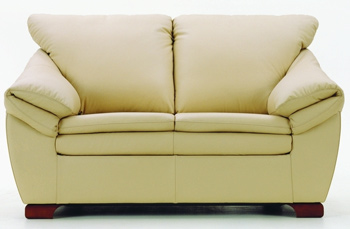European modern simple double seats sofa