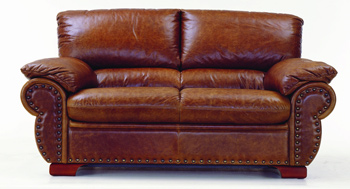Modern brown double seats leather sofa