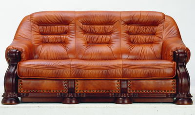 More than the old brown sofa 3D model