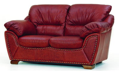 Typical leather love seat