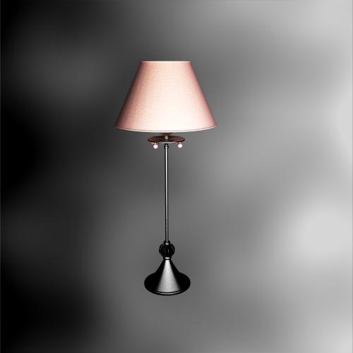 Continental Iron Table Lamp Home