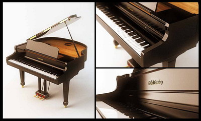 Instrument Model: The Grand Piano 3Ds Max Model
