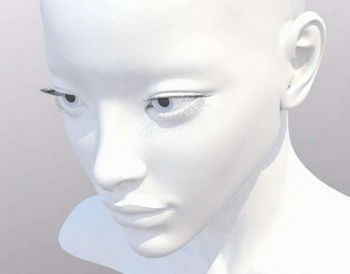 Refined model of the female head (mb, mtl format)