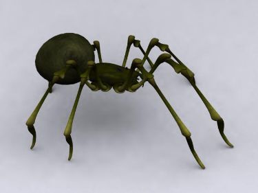 Green Spider Model