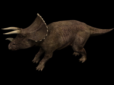 Animal Model: Triceratops Dinosaur 3dS Max Mod