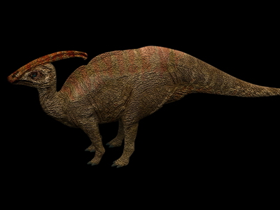 Animal Model: Parasaurolophus Dinosaur 3dS Max Model