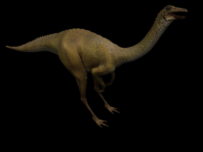 Animal Model: Longicollous Dinosaur 3dS Max Model