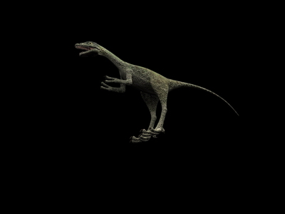 Animal Model: Small Size Carnivorous Dinosaur 3dS Max Model