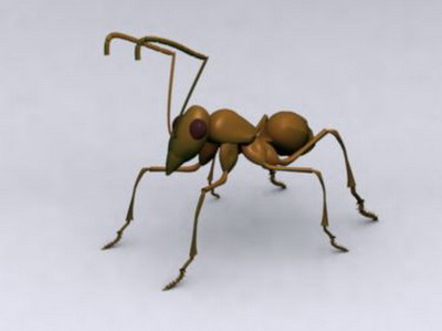 Animal Model: Ant 3DsMax Model